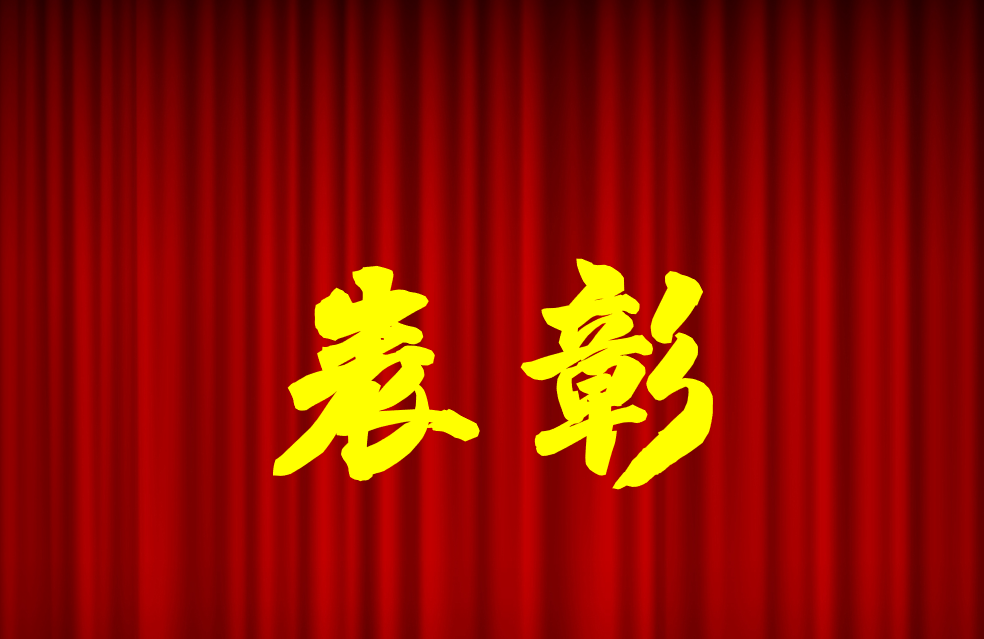 逐光前行、榮耀共鑒 | 公司2024年度表彰來啦！